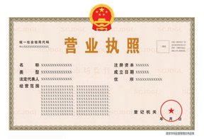 公司营业执照正本格式示意图